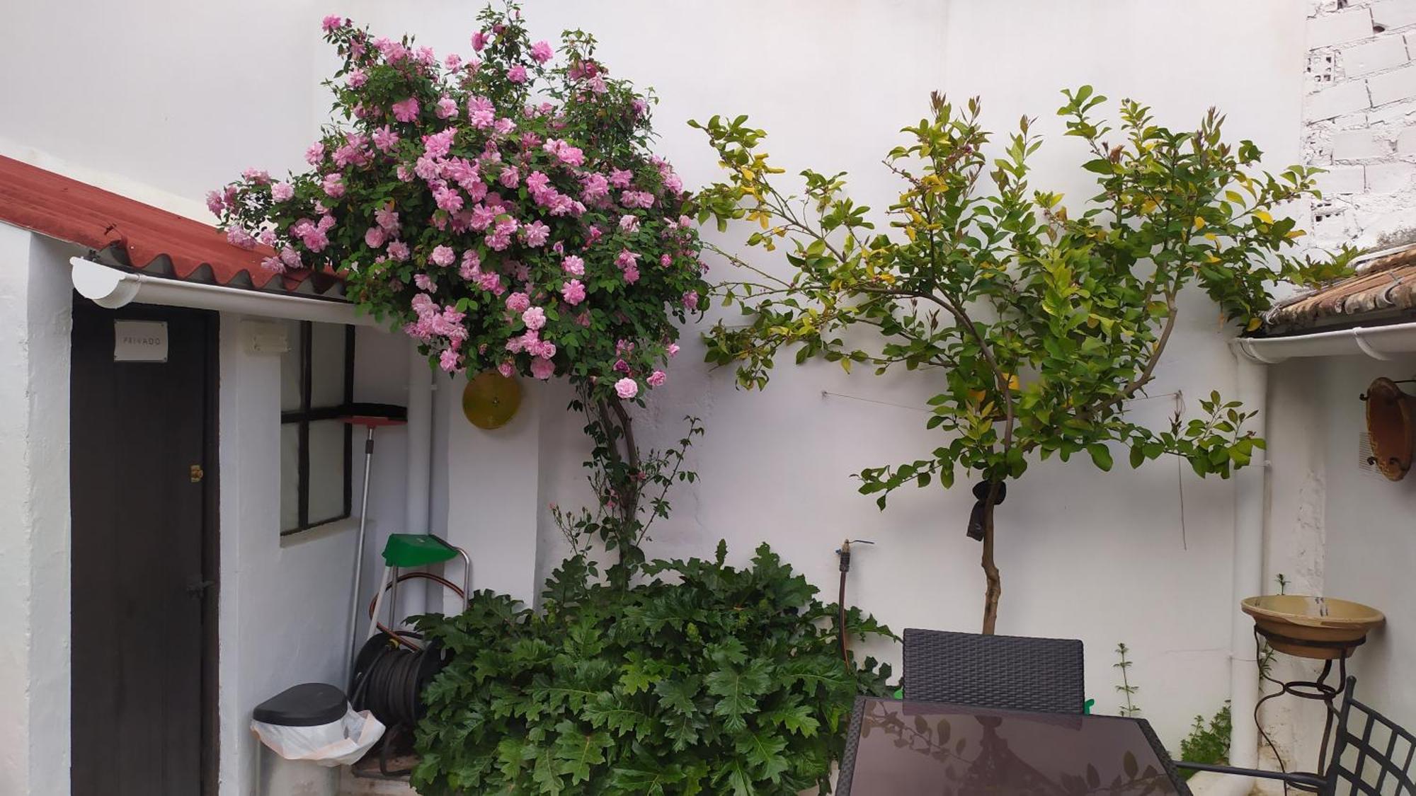 La Vieja Parra Guest House La Puerta de Segura Ngoại thất bức ảnh